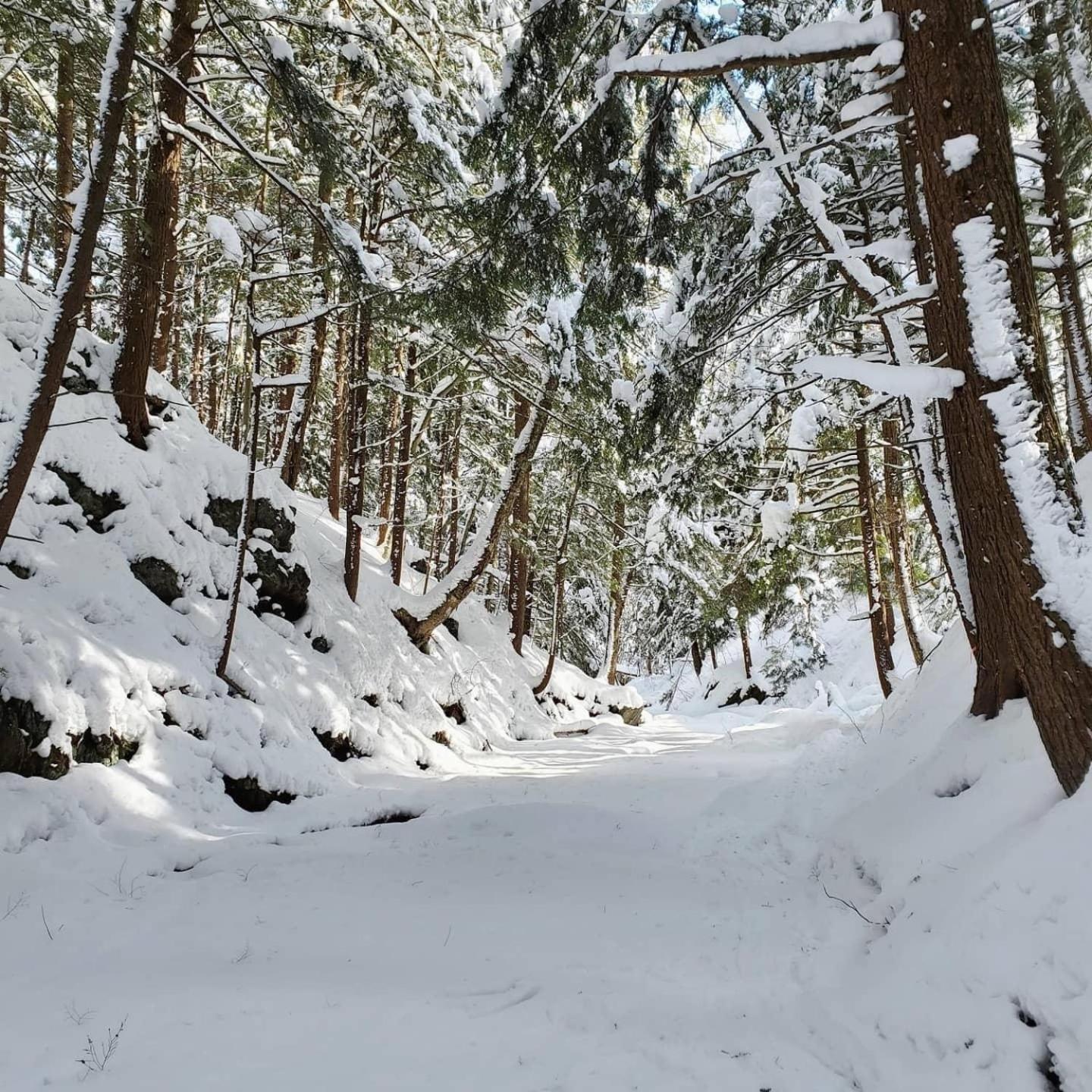 Paradis Sauvage Geronimo Saint-Etienne-de-Bolton エクステリア 写真