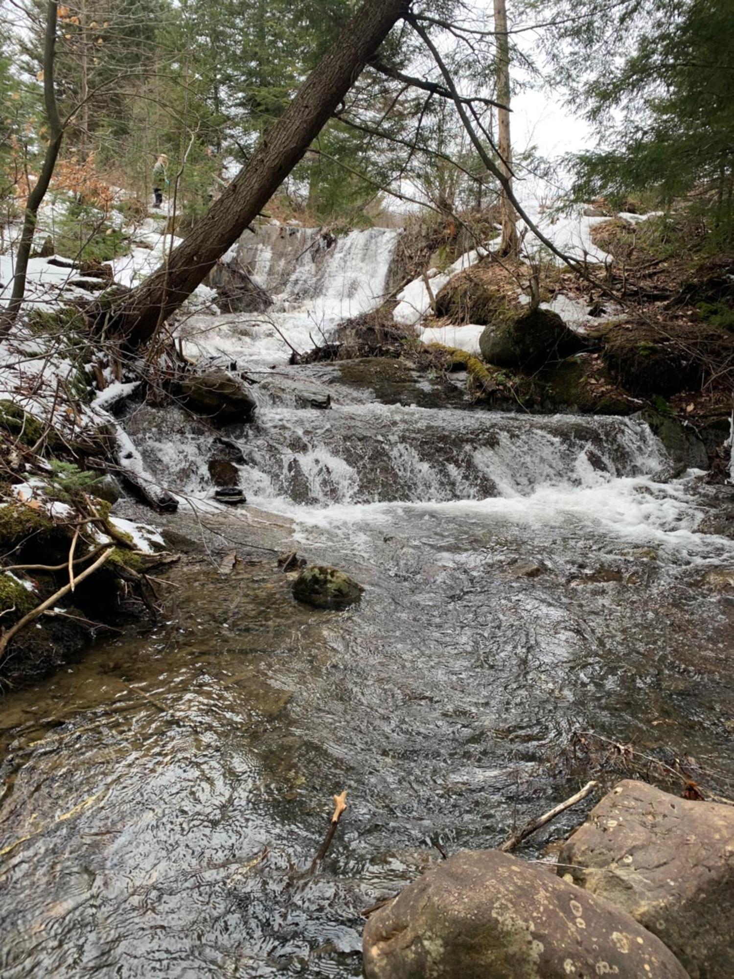 Paradis Sauvage Geronimo Saint-Etienne-de-Bolton エクステリア 写真